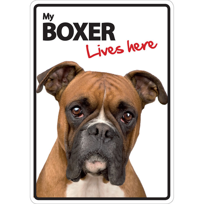 Señal A5 'Boxer - Lives Here', 14.8 x 21 cm, MAGNET & STEEL