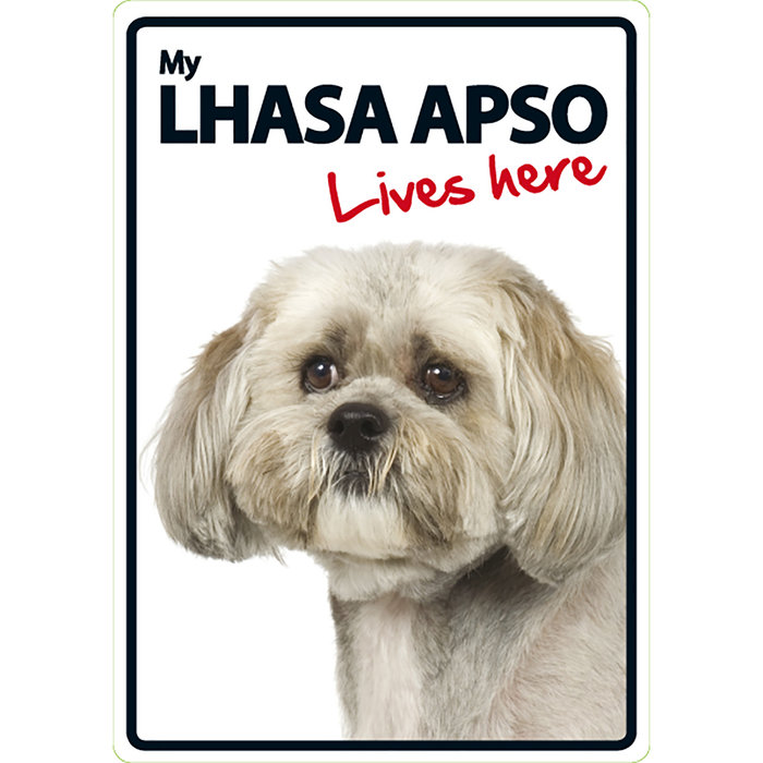 Señal A5 'Lhasa Apso - Lives Here', 14.8 x 21 cm, MAGNET & STEEL