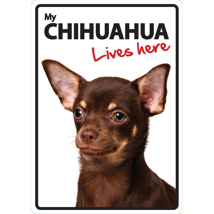 Señal A5 'Chihuahua - Lives Here', 14.8 x 21 cm, MAGNET & STEEL