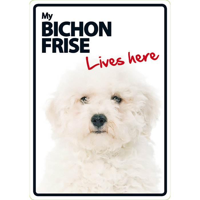 Señal A5 'Bichón Frise - Lives here', 14.8 x 21 cm, MAGNET & STEEL