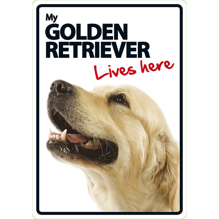 Señal A5 'Golden Retriever - Lives Here', 14.8 x 21 cm, MAGNET & STEEL