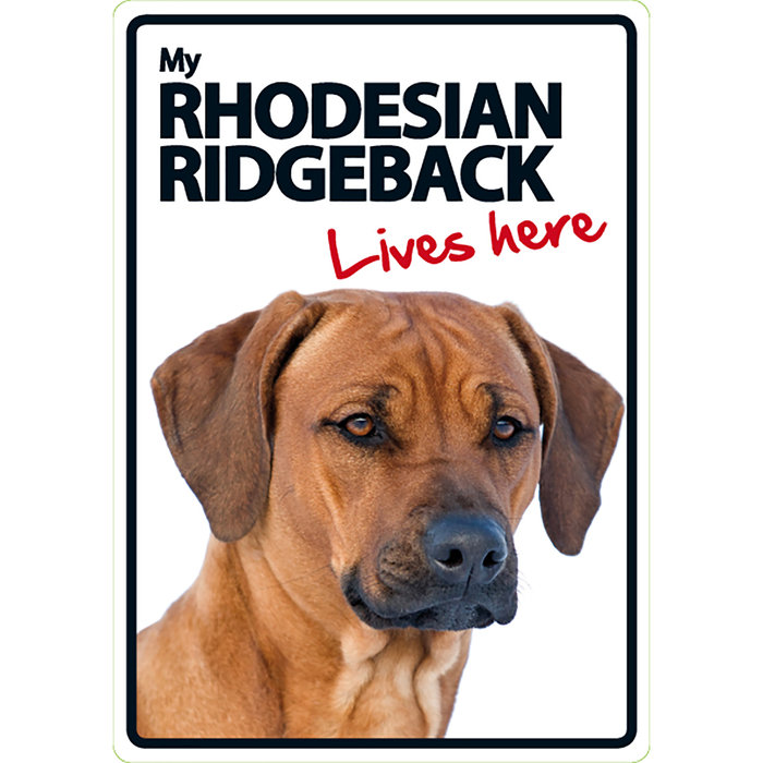 Señal A5 'Rhodesian Ridgeback - Lives Here', 14.8 x 21 cm, MAGNET & STEEL
