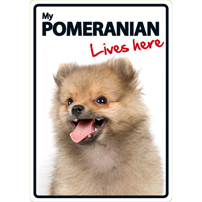 Señal A5 'Pomeranian - Lives Here', 14.8 x 21 cm, MAGNET & STEEL
