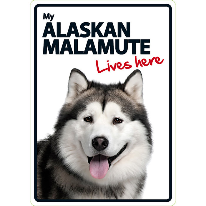 Señal A5 'Alaskan Malamute - Lives Here', 14.8 x 21 cm, MAGNET & STEEL