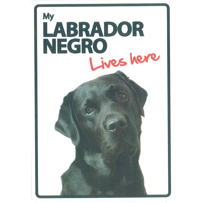 Señal A5 'My Labrador Negro - Lives Here', 14.8 x 21 cm, MAGNET & STEEL