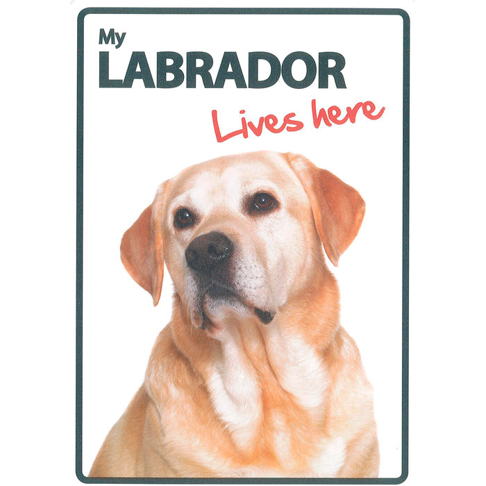 Señal A5 'Labrador - Lives Here', 14.8 x 21 cm, MAGNET & STEEL
