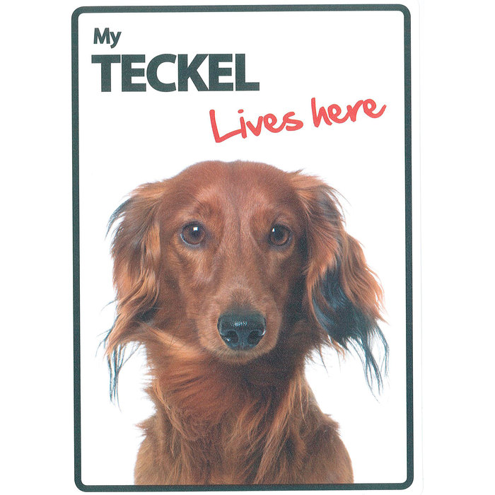 Señal A5 'Teckel - Lives Here', 14.8 x 21 cm, MAGNET & STEEL