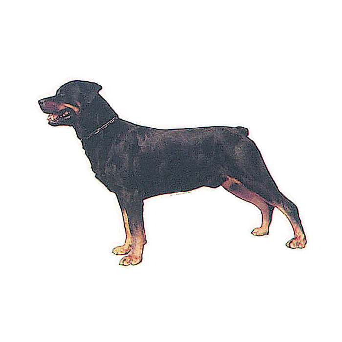 Etiqueta adhesiva mascotas, Rottweiler