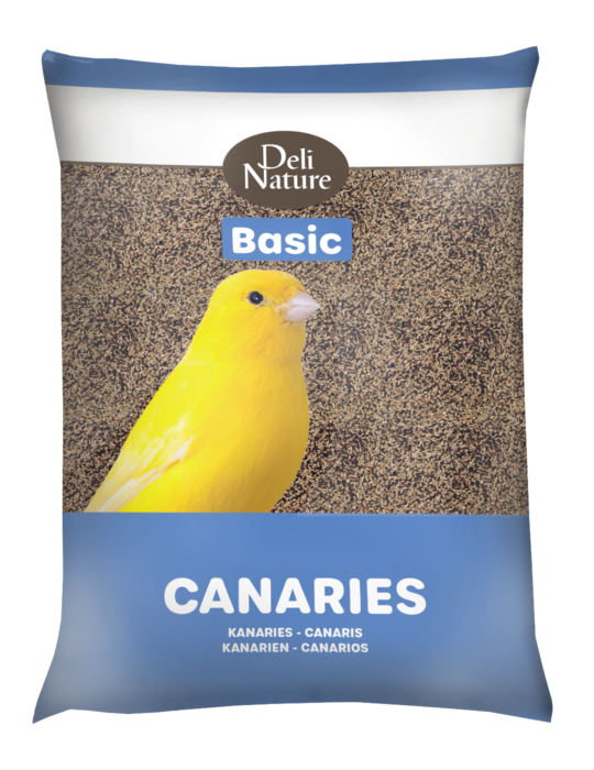 Palet Basic Canarios