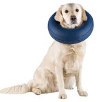 Collar Protector, inflable