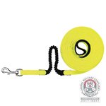 Easy Life Tracking Leash with Shock Absorber