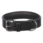 Active collar, M: 38–47 cm/40 mm, black