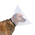 Collar Veterinario, L, ø44-50 cm / 25 cm