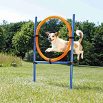 Dog Activity Agility ring, plastic, 115 × ø 3 cm, ø 65 cm, blue/orange