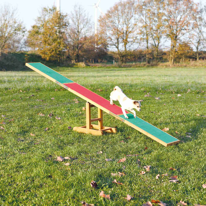 Dog Activity Agility seesaw, 300 × 54 × 34 cm