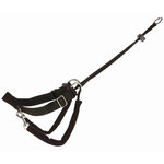 Lead'n'Walk Basic training harness, S: 27–36 cm/20 mm, black