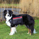Backpack for dogs, M: 23 × 15 cm, black