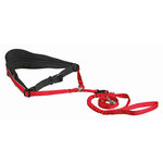Waist belt with leash, wide, neoprene padded, belt: 70–120 cm/12 cm leash: 1.10–