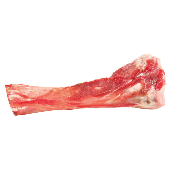 Pig tibia bone, 17 cm, 200 g