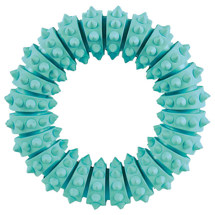 Denta Fun ring, mint flavour, natural rubber, ø 12 cm