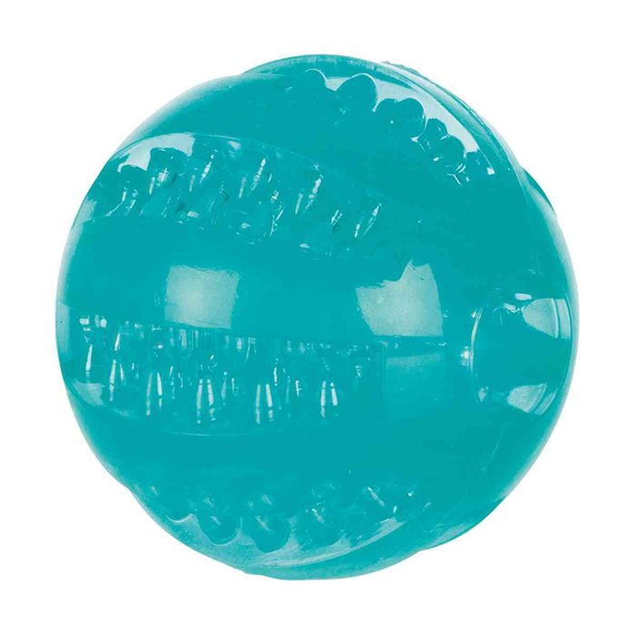 Denta Fun ball, mint flavour, TPR, ø 6 cm