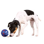 Dog Activity Snacky, Pelota Snacks, ø11 cm, Nivel 1
