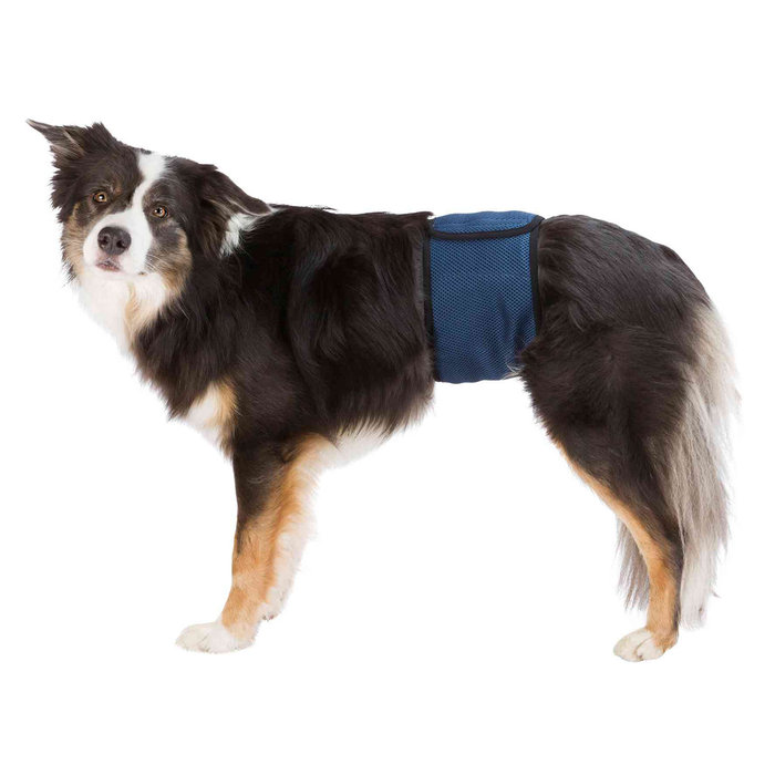 Belly band for male dogs, S: 29–37 cm, dark blue