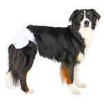 12 Pañales Perros ultra absorbentes, L