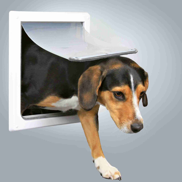 2-Way dog flap, S–M: 30 × 36 cm, white