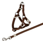 Cat harness with leash, nylon, 26–37 cm/10 mm, 1.20 m