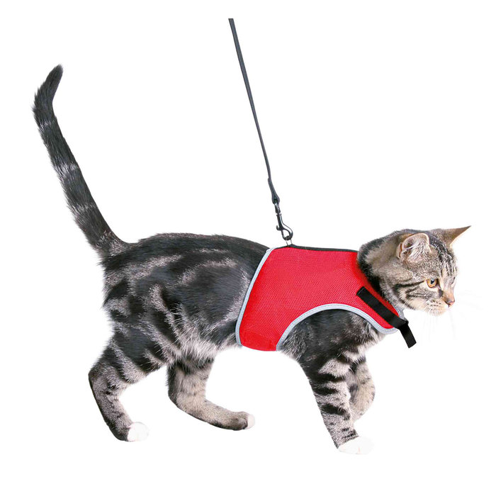 Soft harness with leash for cats, XL, 36–54 cm, 1.20 m, black