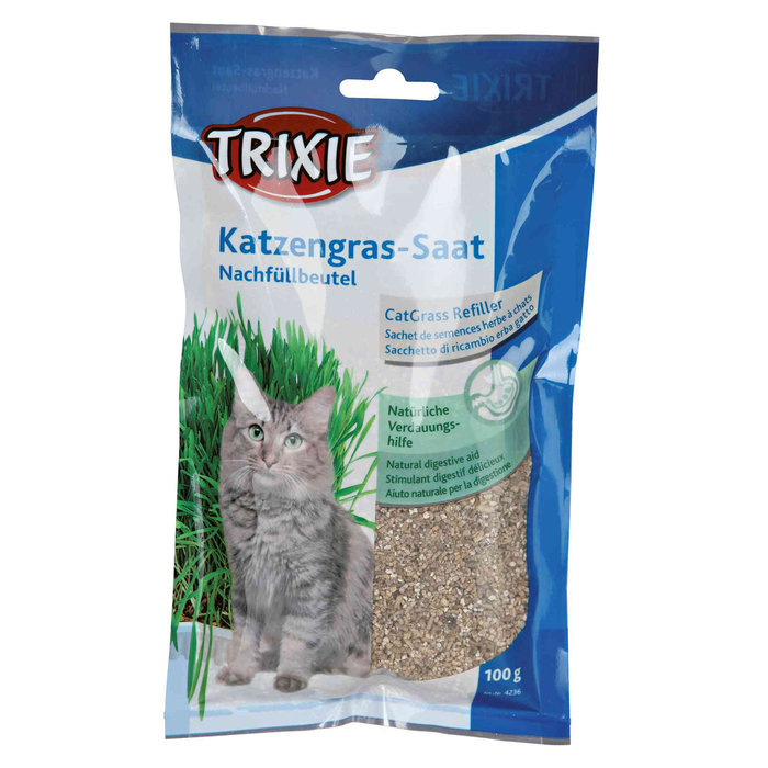 Cat grass, bowl/approx. 100 g
