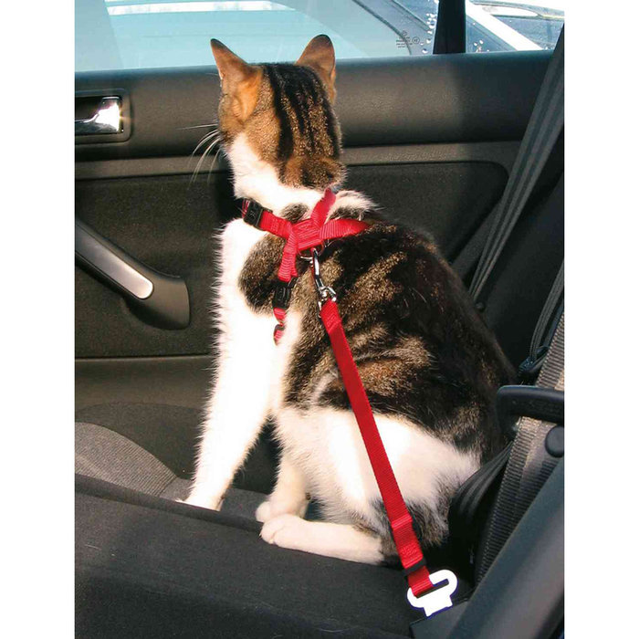 Car harness for cats, 20–50 cm/15 mm, red