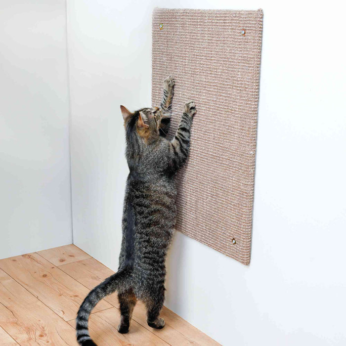 Scratching board, 50 × 70 cm, taupe