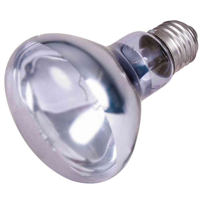 Neodymium basking spot-lamp, ø 63 × 100 mm, 35 W