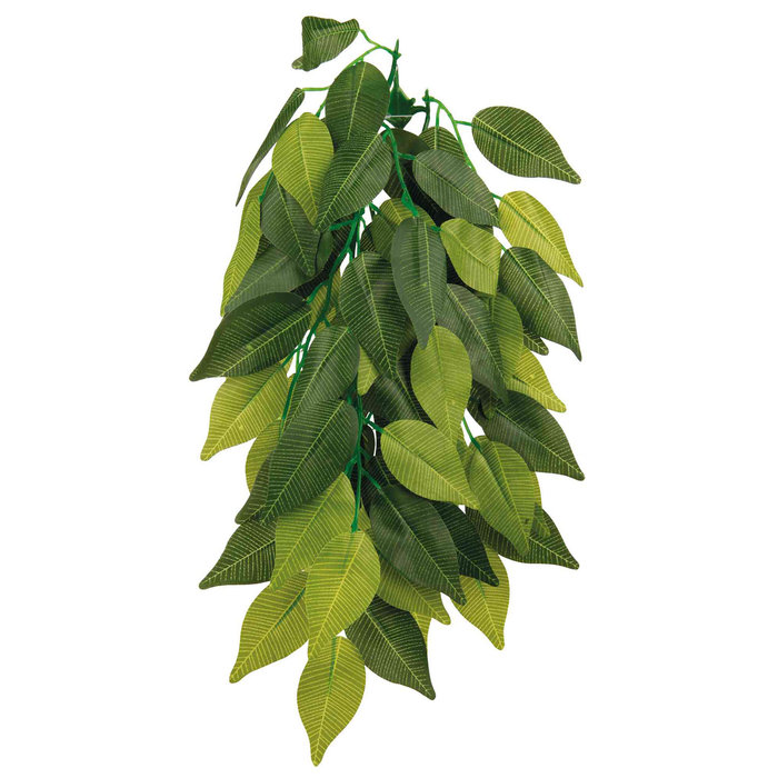 Silk hanging plant, Ficus, ø 20 × 30 cm