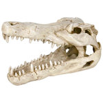 Crocodile skull, 14 cm