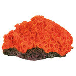 4 corals, 10–13 cm