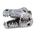 6 dinosaur skulls, 6 cm