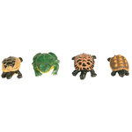 Set de Set de ranas y tortugas