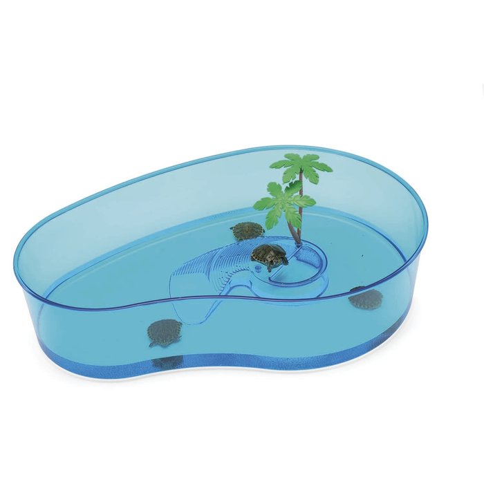 Tortuguera VIRGOLA, 40 x 27.5 x 9.5 cm, Azul
