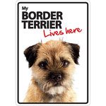 Señal A5 'Border Terrier - Lives Here', 14.8 x 21 cm, MAGNET & STEEL