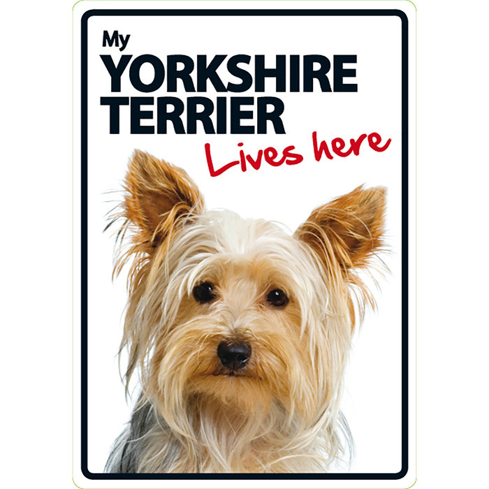 Señal A5 'Yorkshire Terrier - Lives Here', 14.8 x 21 cm, MAGNET & STEEL