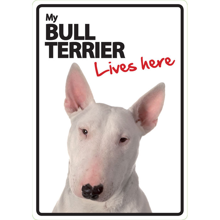 Señal A5 'Bull Terrier - Lives Here', 14.8 x 21 cm, MAGNET & STEEL