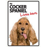 Señal A5 'Cocker Spaniel - Lives Here', 14.8 x 21 cm, MAGNET & STEEL