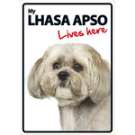 Señal A5 'Lhasa Apso - Lives Here', 14.8 x 21 cm, MAGNET & STEEL
