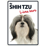 Señal A5 'Shih Tzu - Lives Here', 14.8 x 21 cm, MAGNET & STEEL