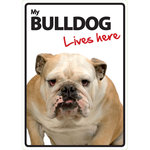 Señal A5 'Bulldog - Lives Here', 14.8 x 21 cm, MAGNET & STEEL