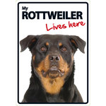 Señal A5 'Rottweiler - Lives Here', 14.8 x 21 cm, MAGNET & STEEL