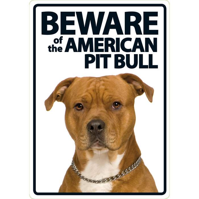 Señal A5 'Beware of the American Pitbull', 14.8 x 21 cm, MAGNET & STEEL
